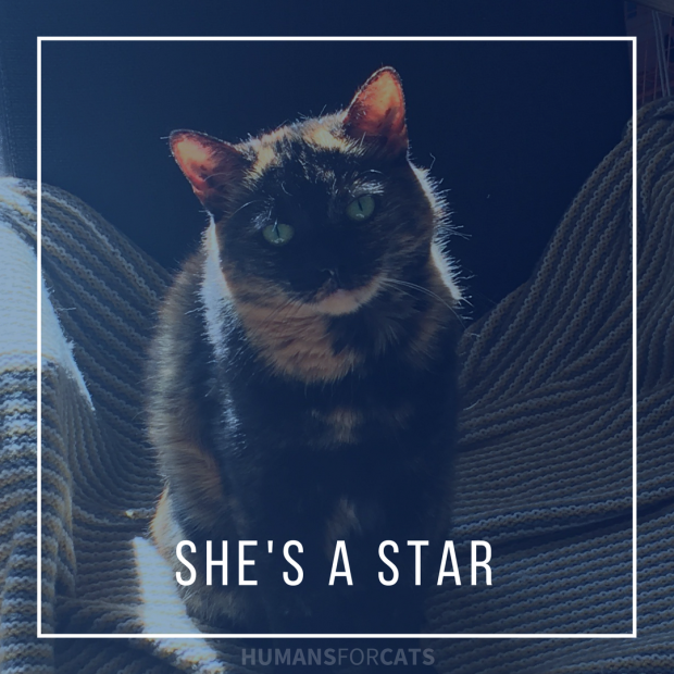 She's a Star.