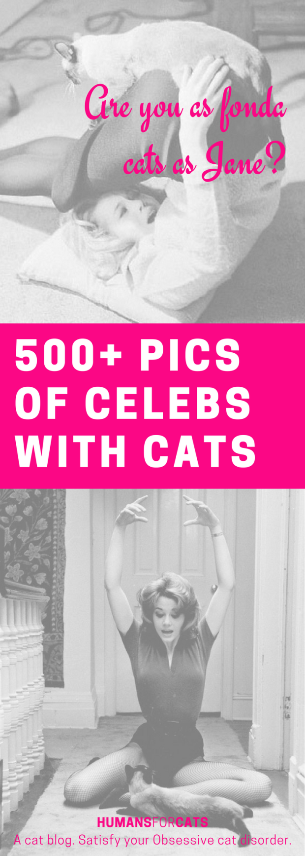celebswithcats (1)