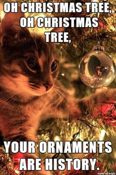 Oh Christmas tree, oh Christmas tree, your ornaments are history.