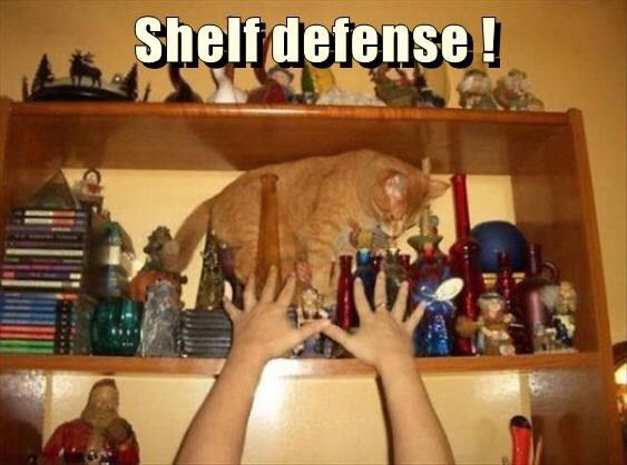 Shelf defense!
