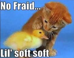 No fraid... Lil' soft soft